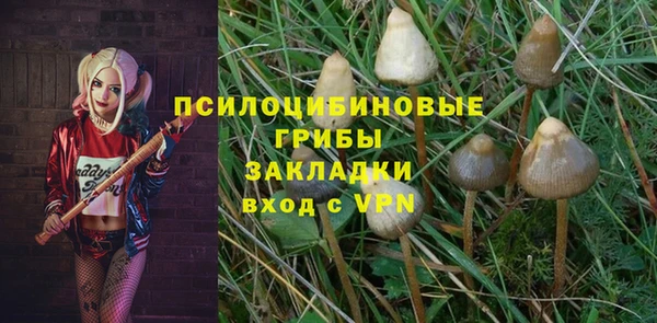каннабис Корсаков