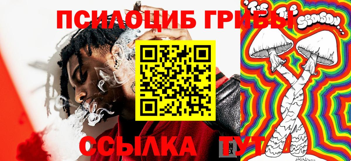 Галлюциногенные грибы Magic Shrooms  Вход с VPN  Химки  закладка  Псилоцибиновые грибы прущие грибы 