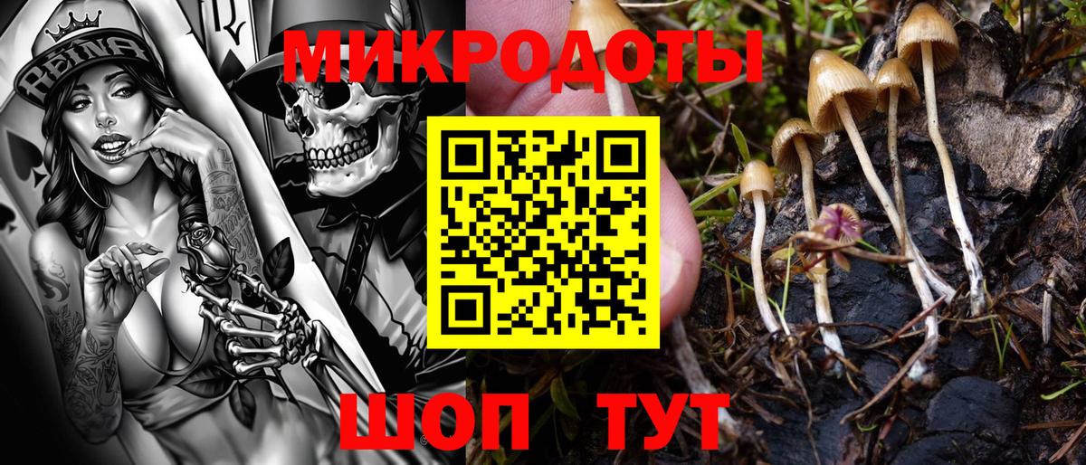 Галлюциногенные грибы ЛСД Химки