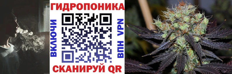 Марихуана план  Химки 